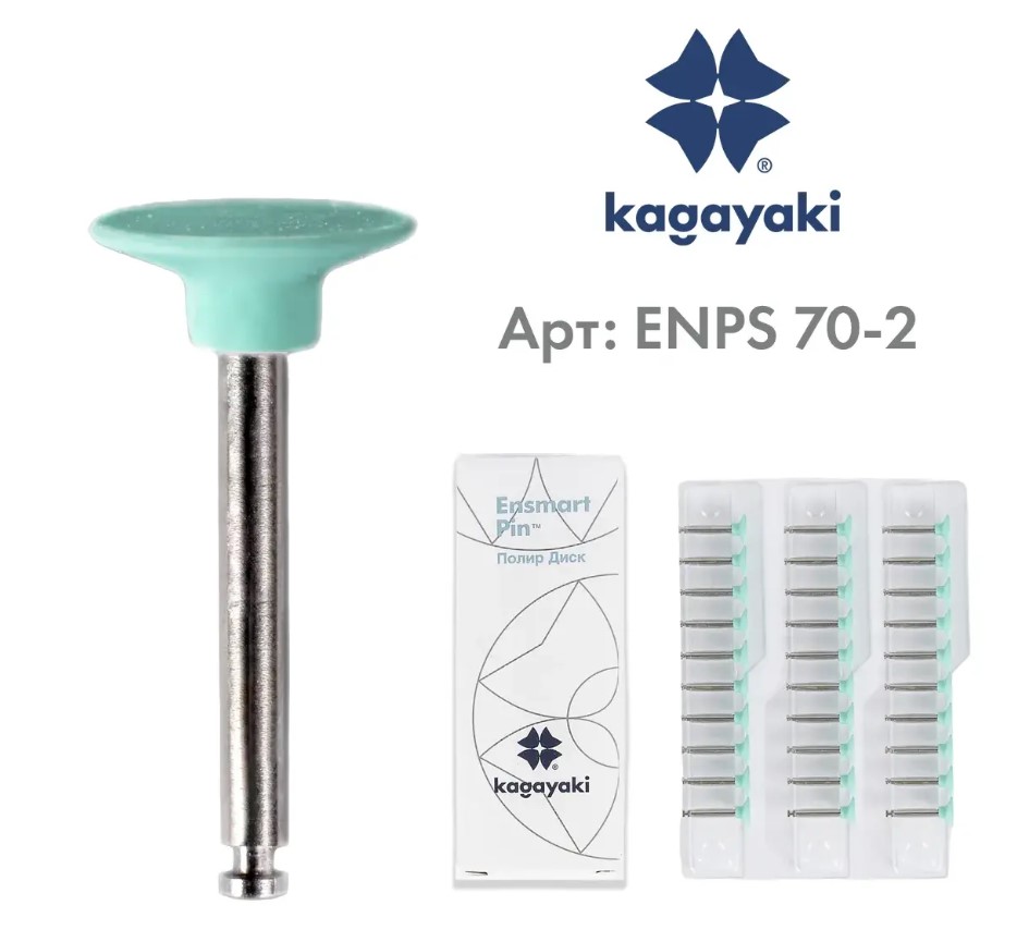 Энсмарт Пин Ensmart Pin диск металл ENPS70-2 10 шт